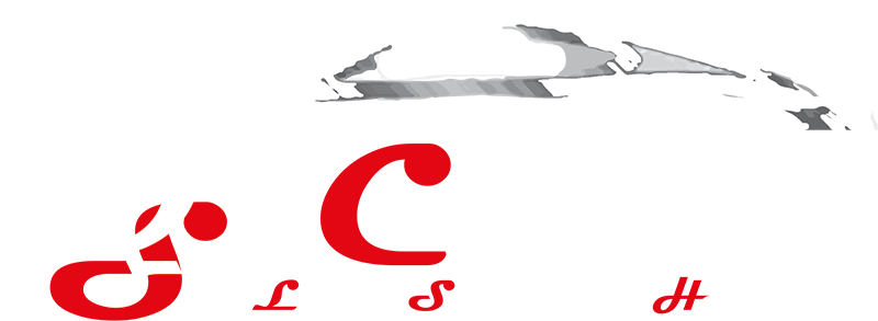 Logo der Firma DSS-Cars
